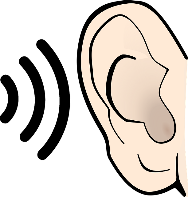 Lärm belastet unseren Körper und das vegetative Nervensystem.
Quelle: www.pixabay.com