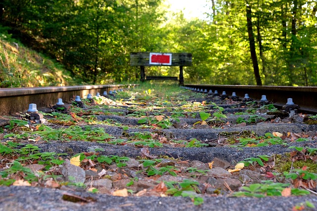 Das Ende des grenzüberschreitenden Bahnverkehrs im Achterhoek  / Quelle: www.pixabay.com / Holger Schué
