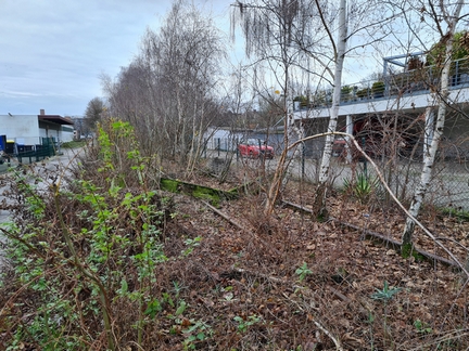 Die stillgelegte Bahntrasse in BOH an der Münsterstraße - eine nachweislich und durch das Eisenbahnbundesamt und die DB bestätigt, gewidmete Trasse. Quelle: Eigene Aufnahme.