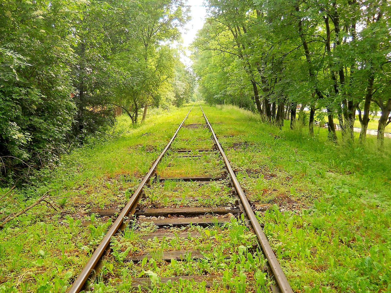 Überreste der Strecke WES - MS sind z.T. noch vorhanden und sichtbar. Quelle: www.pixabay.com /  Mirosława Hordyńska