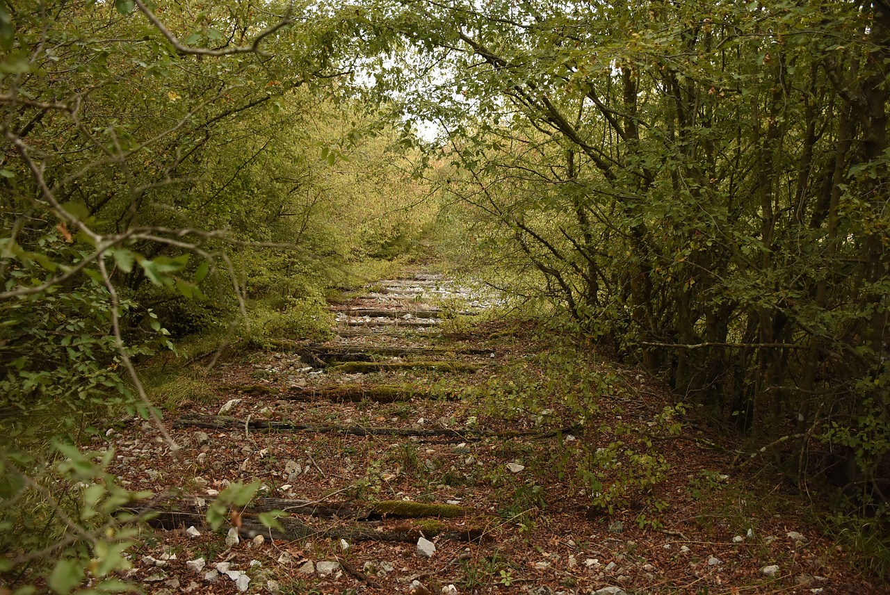 Auch nach Jahrzehnten der Stilllegung ist bei entsprechender Widmung der Trasse ein Bahnbetrieb wieder möglich! Quelle: www.pixabay.com