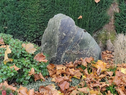 Grabstelle Manfred Elschot (Grabfeld W9 / Grab 119)