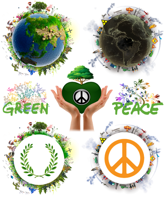 Neue Greenpeace-Studie zu "Alternativen Verkehrsszenarien". Quelle: www.pixabay.Com / Placidplace