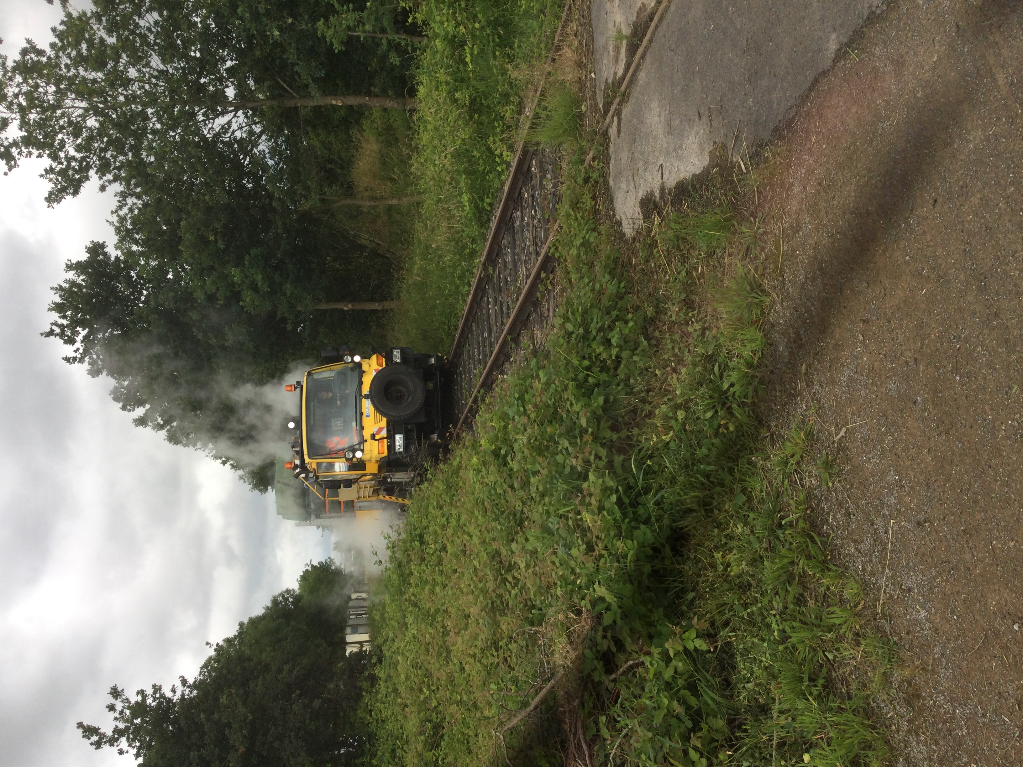 Pilotprojekt am Bocholter ISG - Unkrautbekämpfung auf ökologischer Grundlage. Quelle: VEFS- Antonius Mayland.