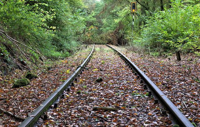 Reaktivierung der Schiene in strukturschwachen Räume - Eine Chance für die Bürger und die Wirtschaft. Quelle: www.pixabay.com / Rene-Schue