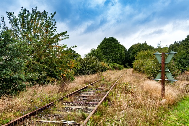 Westmünsterland - Die Bahn brachte zunächst Erfolge für die Bevölkerung und Wirtschaft gleichermaßen. Die Stilllegungen fast aller Strecken fokussiert nur noch den Bus- und Autoverkehr. Quelle: www.pixabay.com / Sofia Layla Thal 